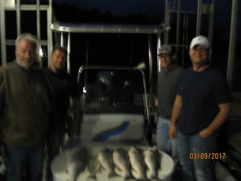 Nice Striped Bass